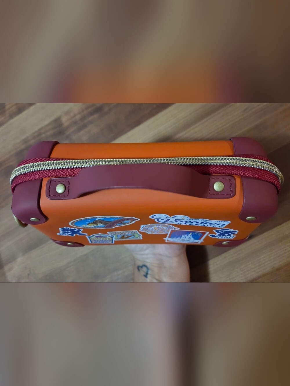 New Toyko Disneyland Vacation Package Bag. - Picture 13 of 16